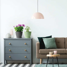 Round Plastic Flower Pot with Bottom Tray (5 Pcs Set / With Color Box)